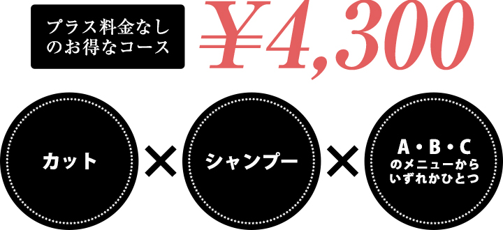 プラス料金なしのお得なコース